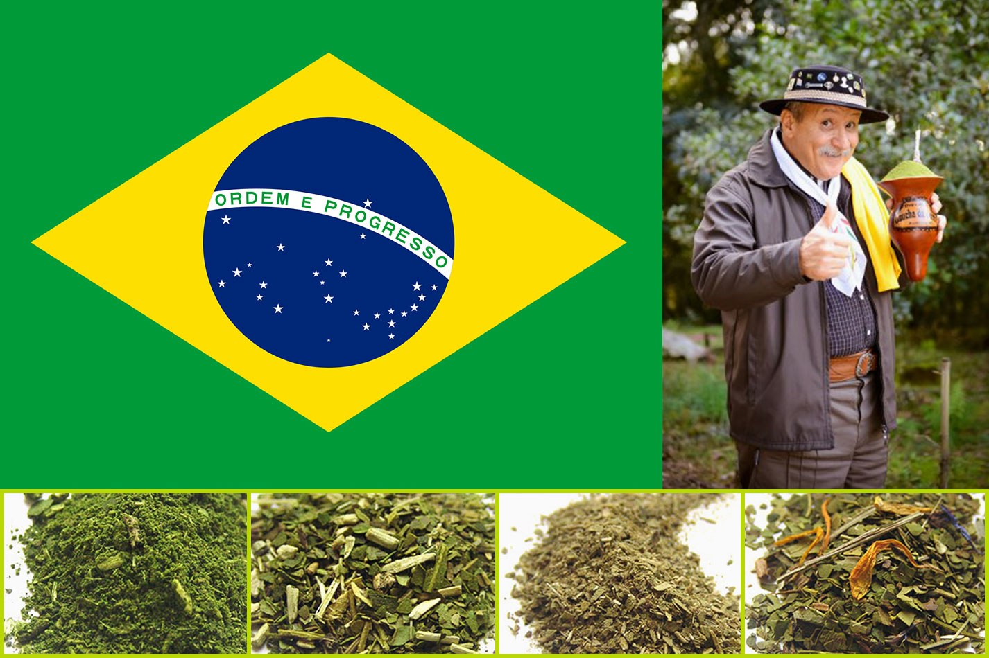 4 rodzaje Yerba Mate z Brazylii